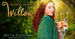 web_willow_compressed
