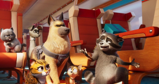 Pets-on-a-train-ezgif.com-webp-to-jpg-converter