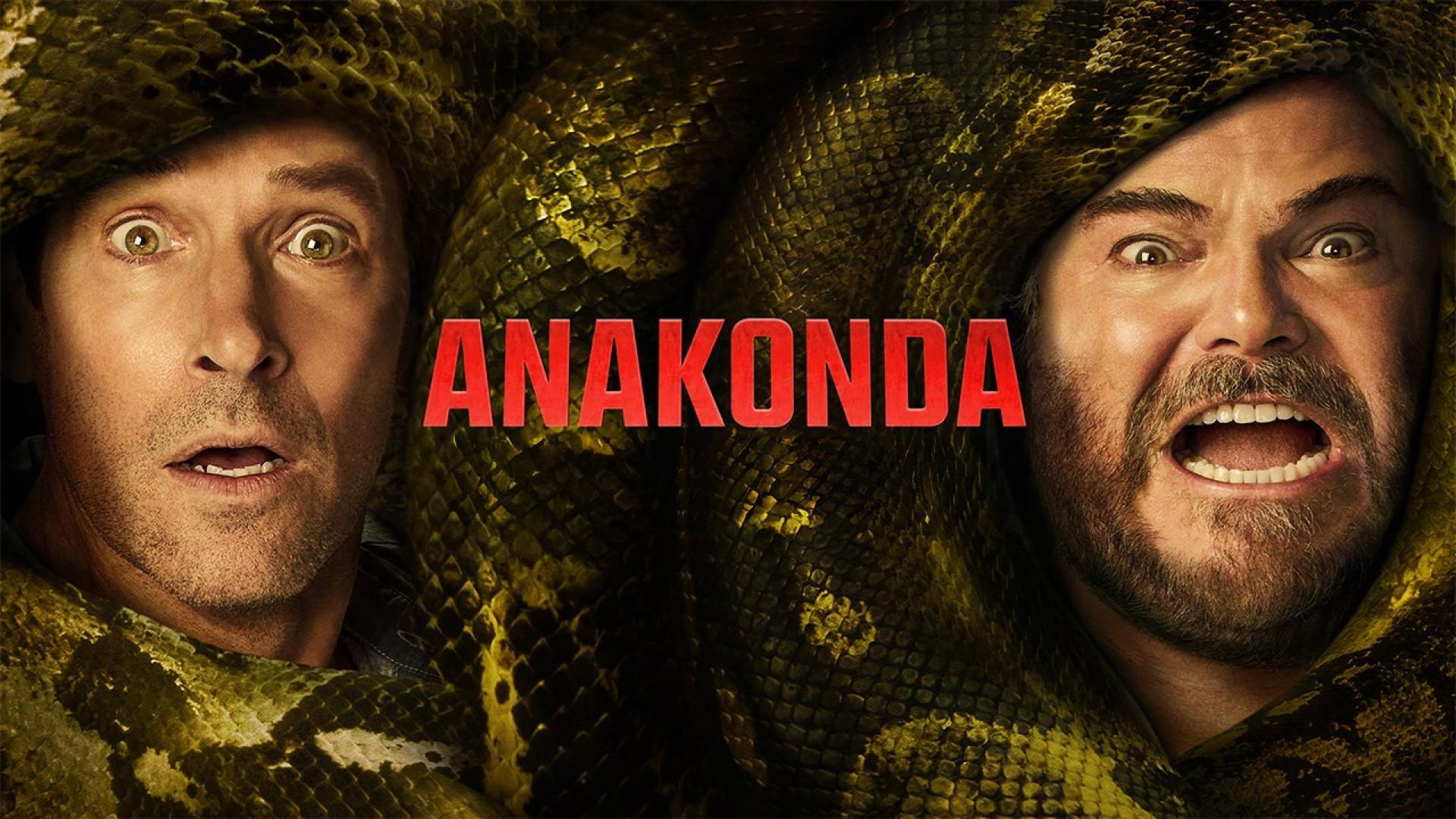 web-Anakonda