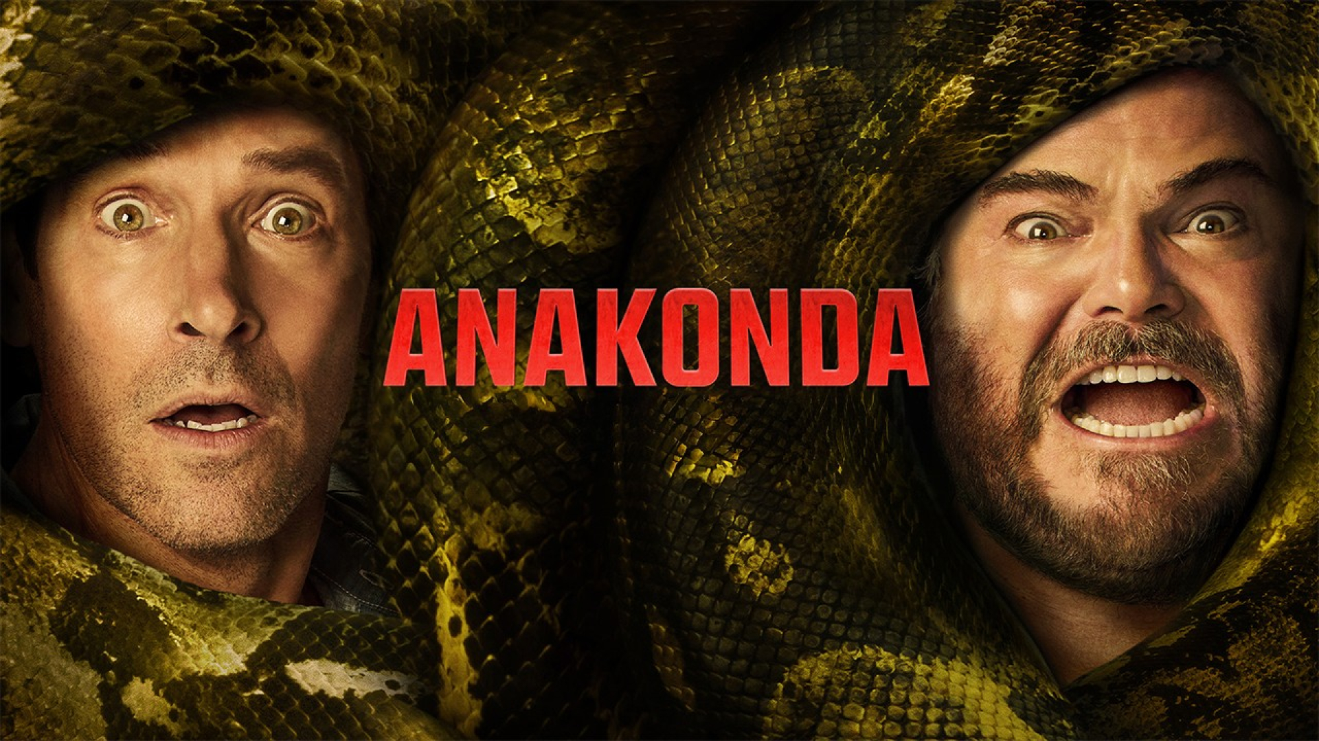 web-Anakonda