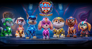 pawpatrol_compressed