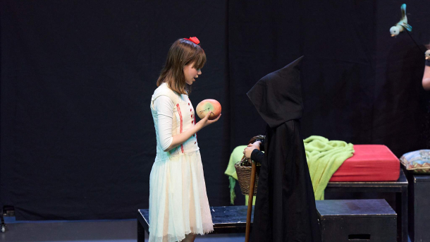 76 MAX Teatar Snjeguljica I Sedam Patuljaka