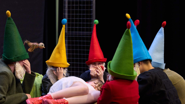 82 MAX Teatar Snjeguljica I Sedam Patuljaka